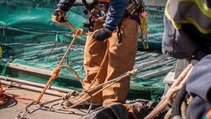 Wear On Rope What to wear on a Rope Access Site!