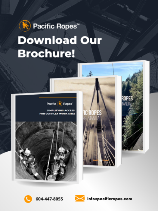 Download_Brochure